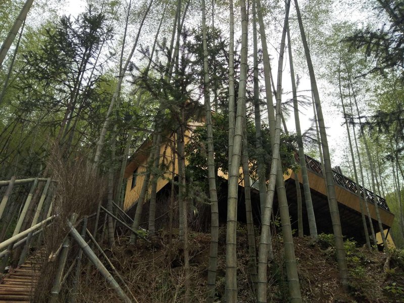 Huangshan Natural Spring Villa Over view