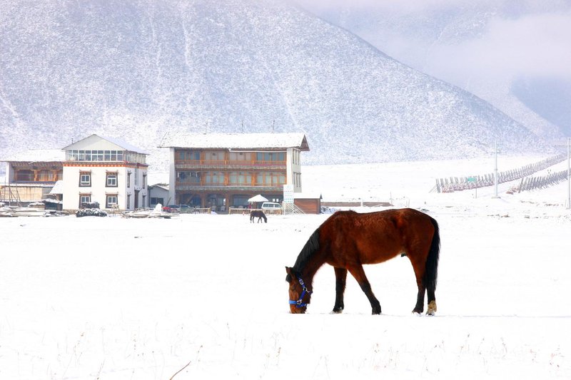 Shangri La Lao Shay Youth HostelOver view