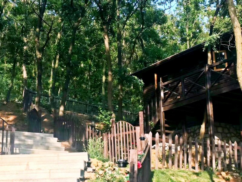 Bifine homeOver view