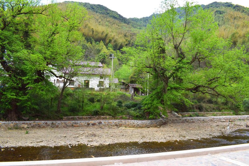 yiyangkezhanOver view