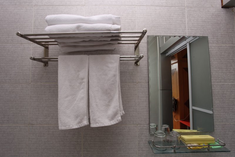 Jiaxin Business HotelOther