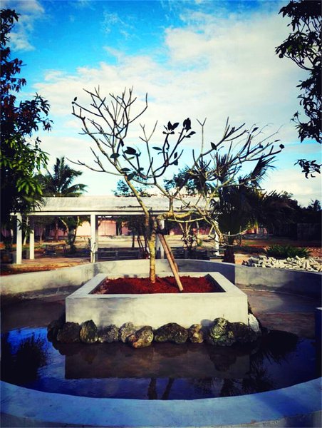 Wenchang Star Moon Courtyard Bed and BreakfastOver view