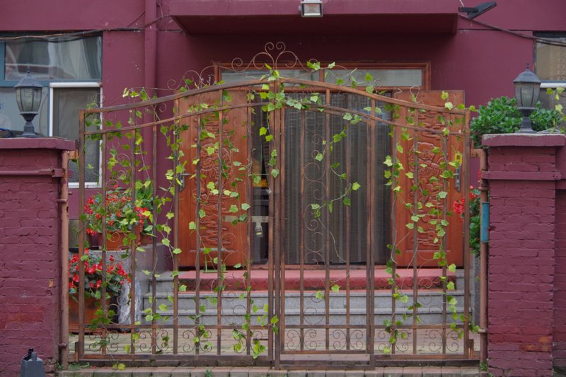 We are Young Inn Over view