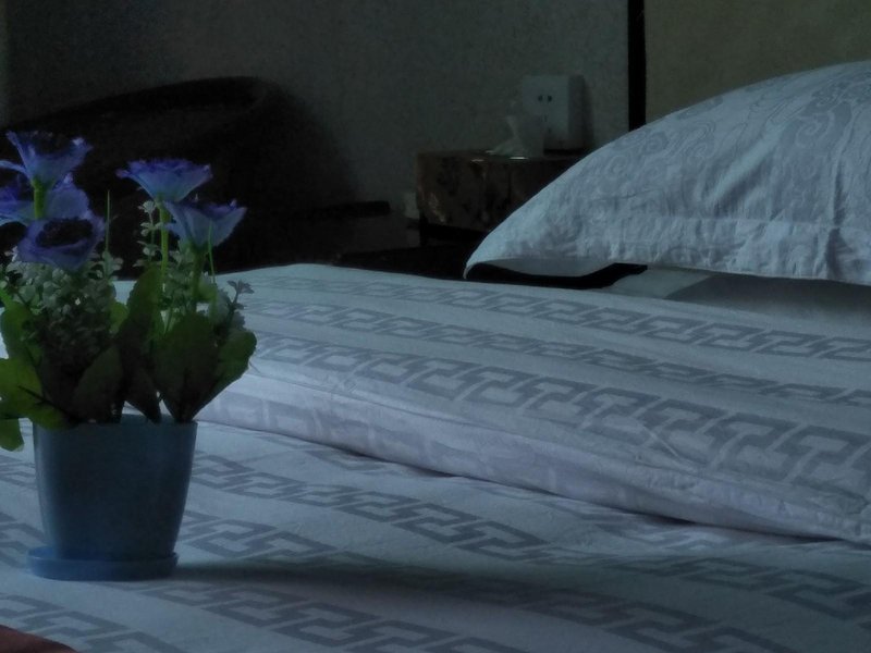 jindibinguan Guest Room