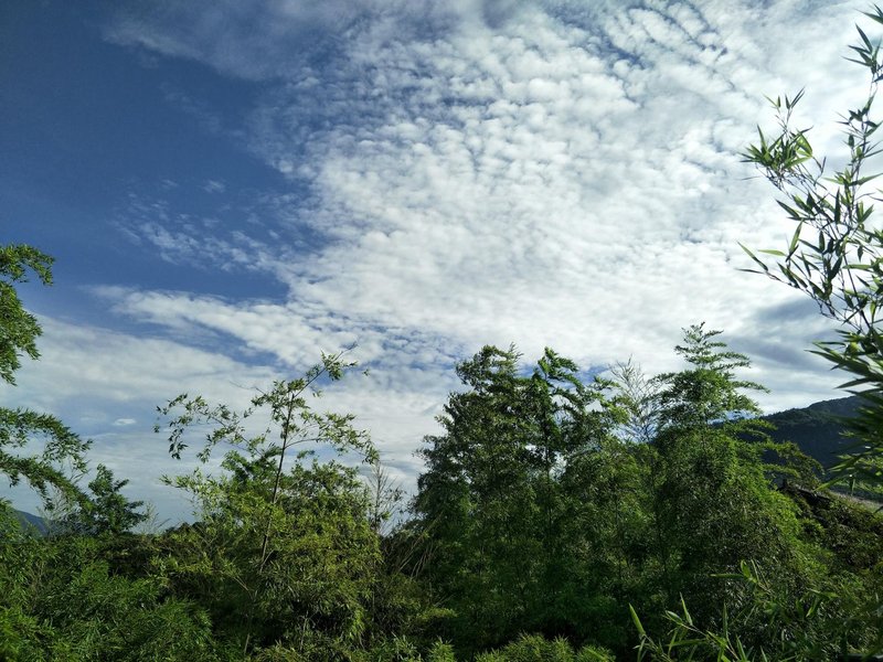 Mount Emei View Hot Spring Soup House Over view