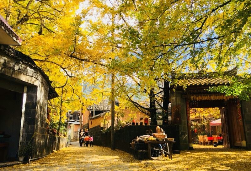 Tengchong Shuangle Farm StayOver view