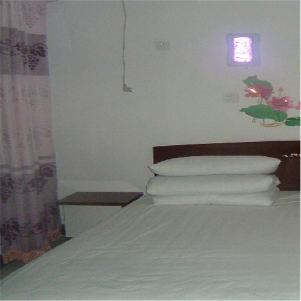 dianpanyujianongjiayuanGuest Room