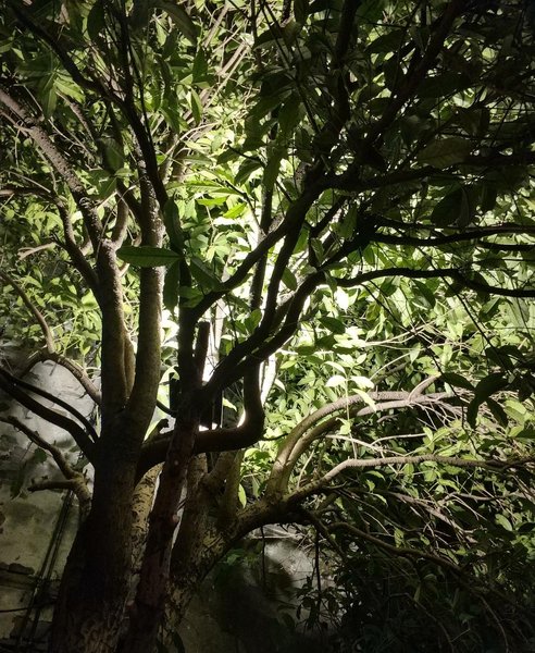 Yi Shui Lou Riverside Inn Over view