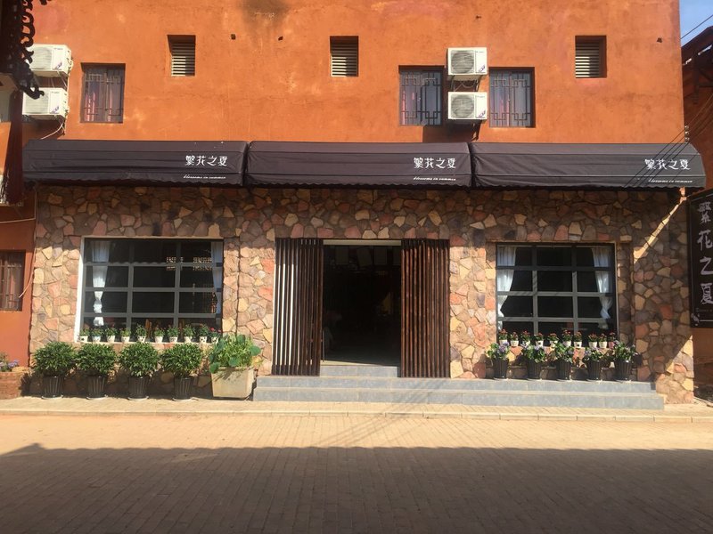 blossoms in summerOver view