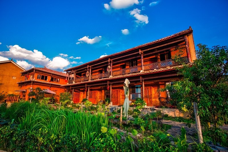 Summer lotus innOver view