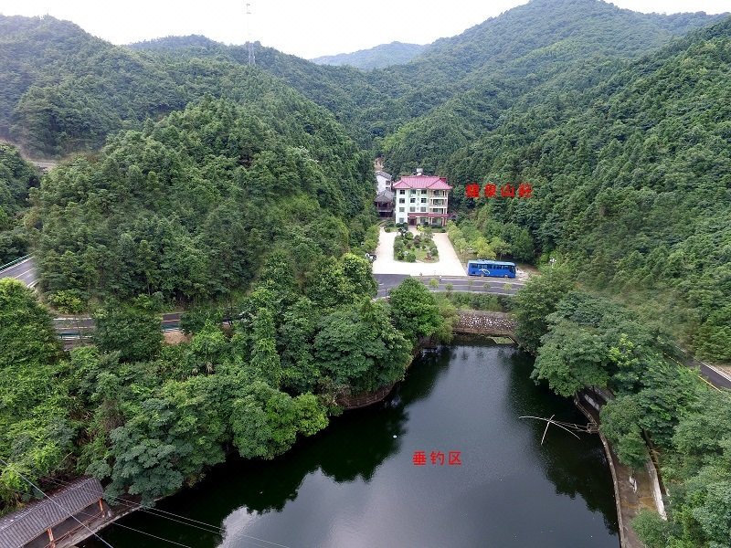 Jiubujiang Longquan Villa Over view