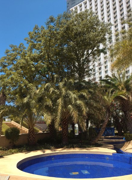 Joy land holidayinn Over view