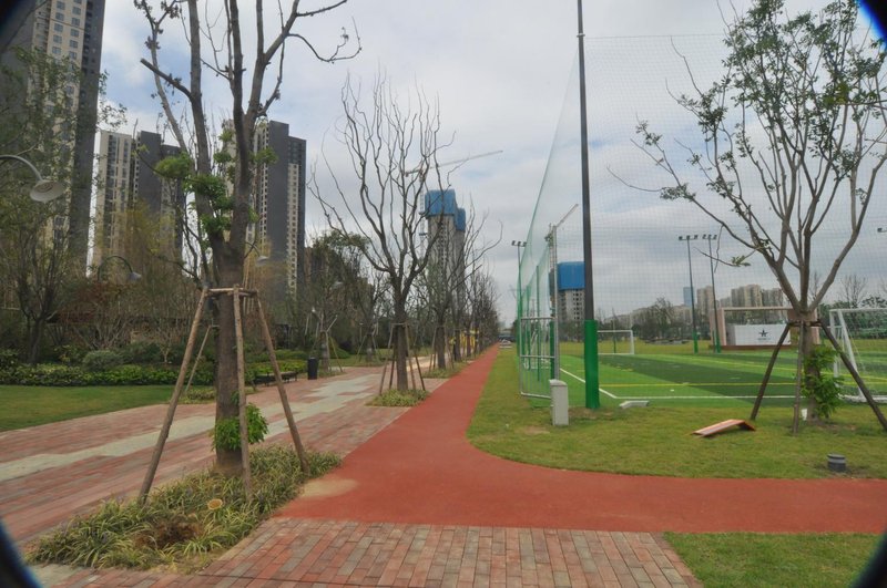 Changsha Datang Hotel ApartmentOver view