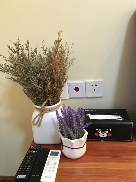 Cashew boutique Service Apartment Guest Room