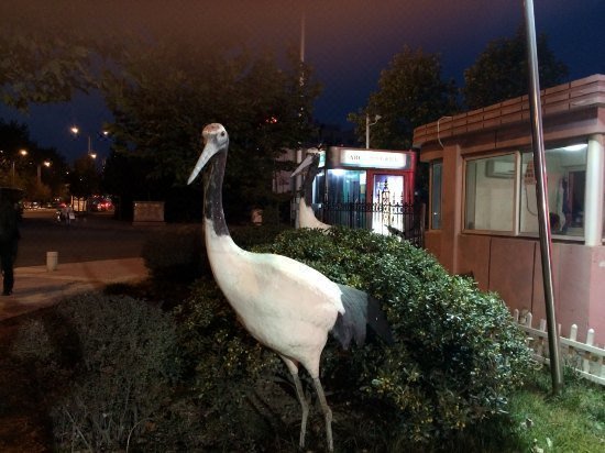 Red-Crowned Crane Hotel Over view