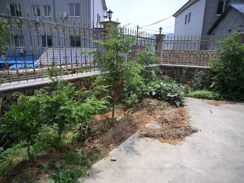 Wangxingju Hotel Over view