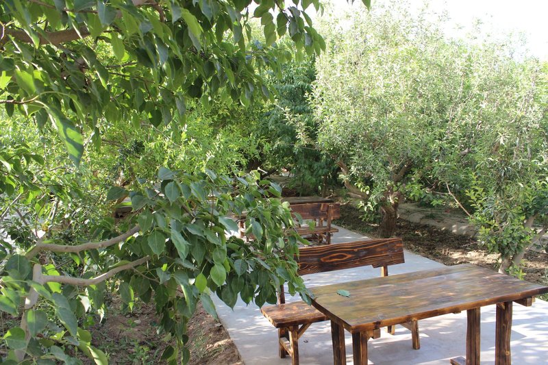 nongfushanzhuangOther