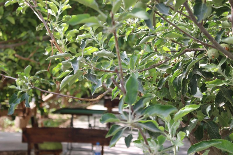 nongfushanzhuangOther