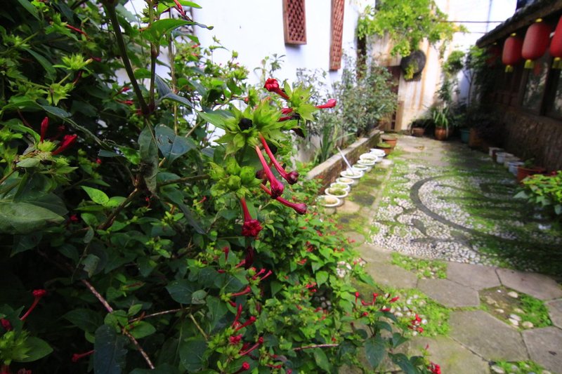 Lijiang Ziteng Inn Over view