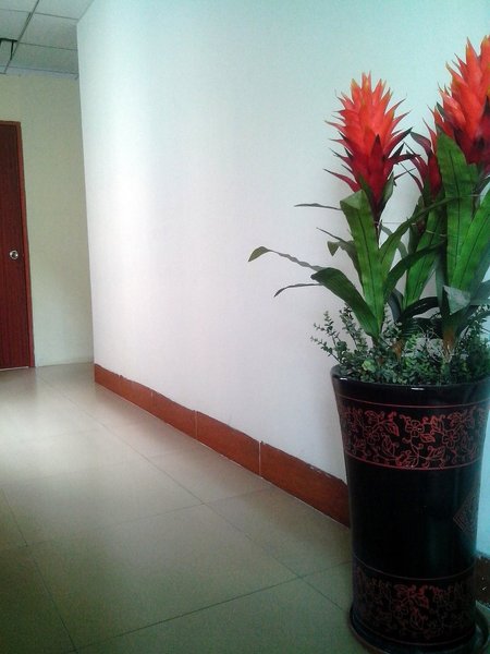 Huashun Apartment 公共区域