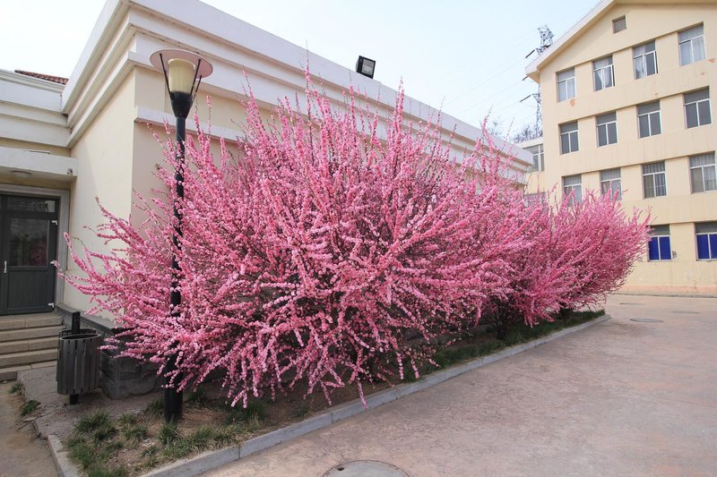 DongYuan HotelOver view