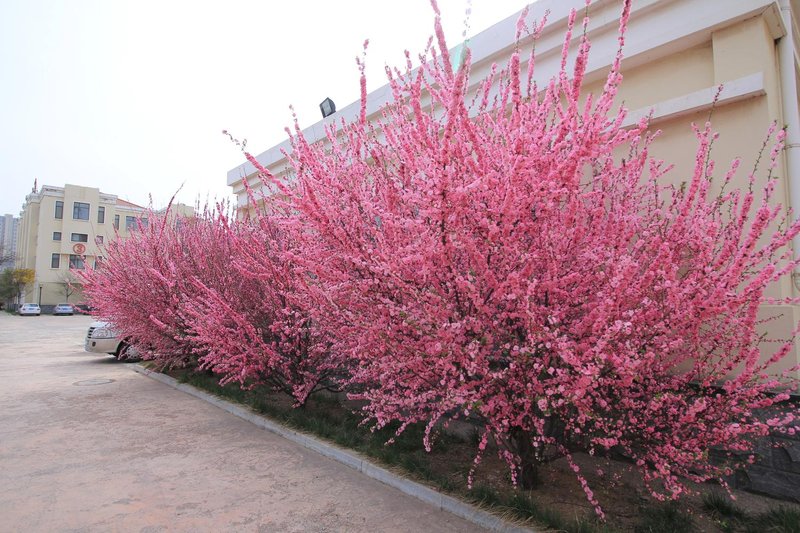 DongYuan HotelOver view