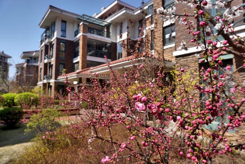 HOME apartment Over view