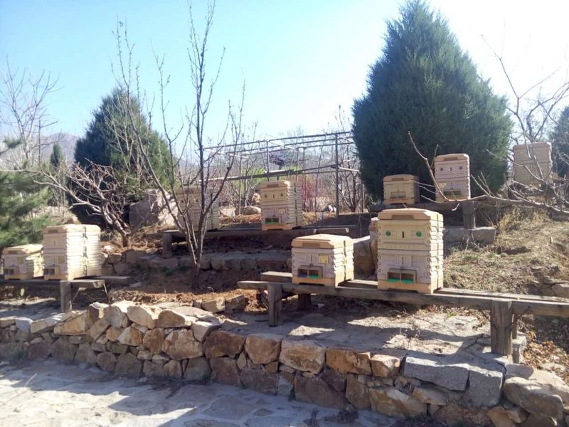 Jixian Phangood API Health Sci tech ResortOver view