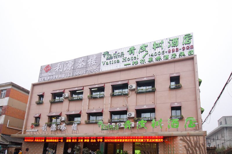 Vatica hotel Over view