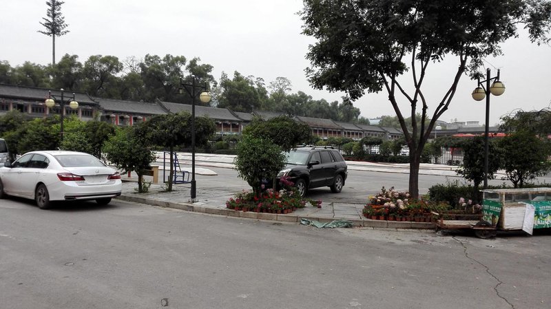 jinfengjiujiaOver view