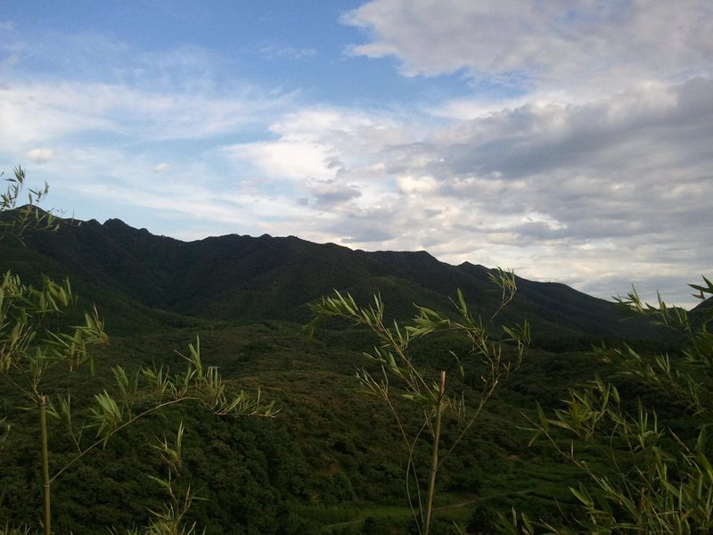 Ecology and Agriculture Villa Over view