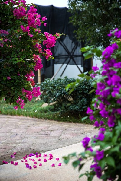 Nali No. 6 Courtyard Over view