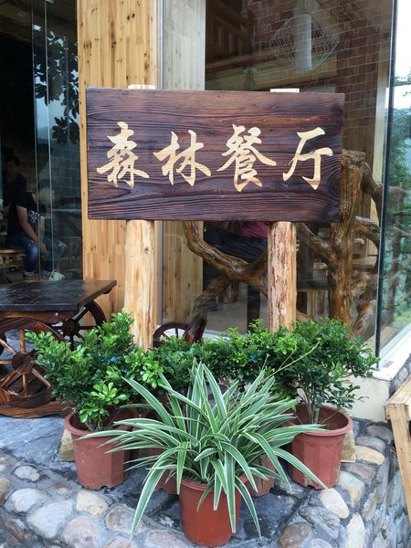 The mountain The waterOver view