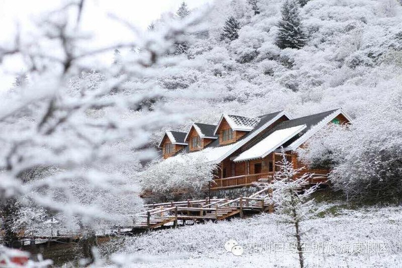 Duobo  impressionOver view