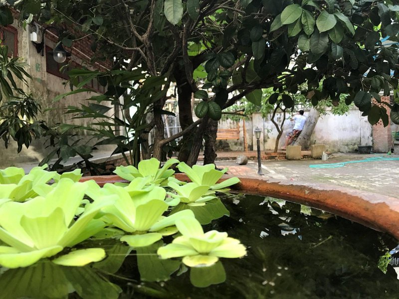 Neighbor SixOver view