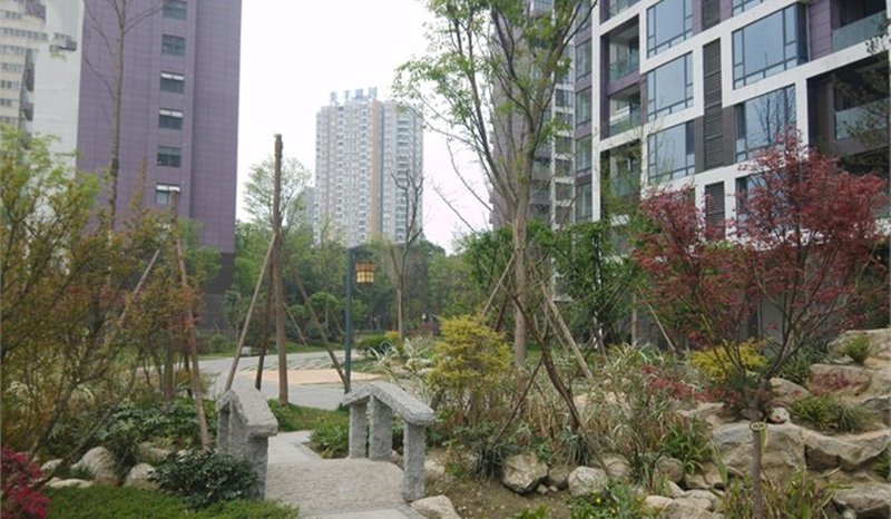 Chengdu Juanshutang Jincheng Shijia Branch Over view