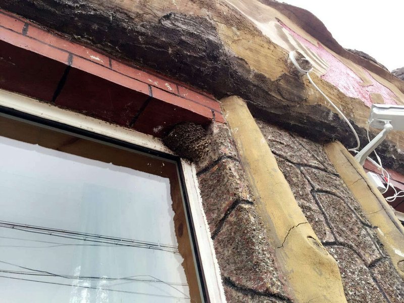 Lin Yun Hotel Over view