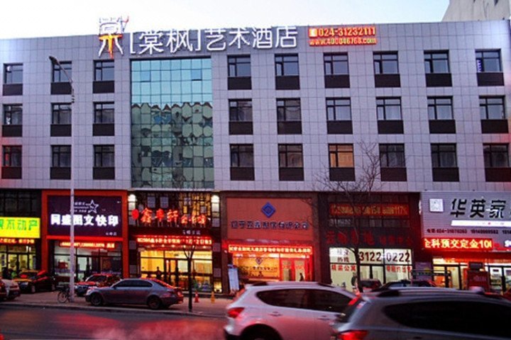 Tangfeng Art Hotel Shenyang Yunfeng Street Over view