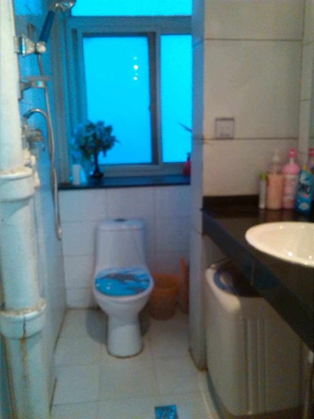 Dandelion Apartment Dongfanghong Cinema Other