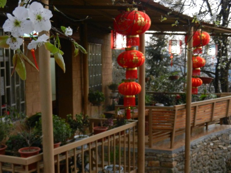 Timeless Hostel Yuanyang Over view