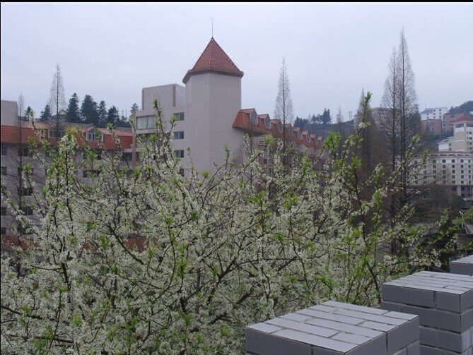 Bajiaolou Teacher Training CenterOver view