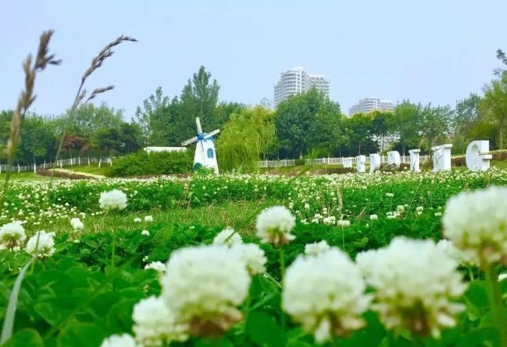 Sicilian style hotel Over view