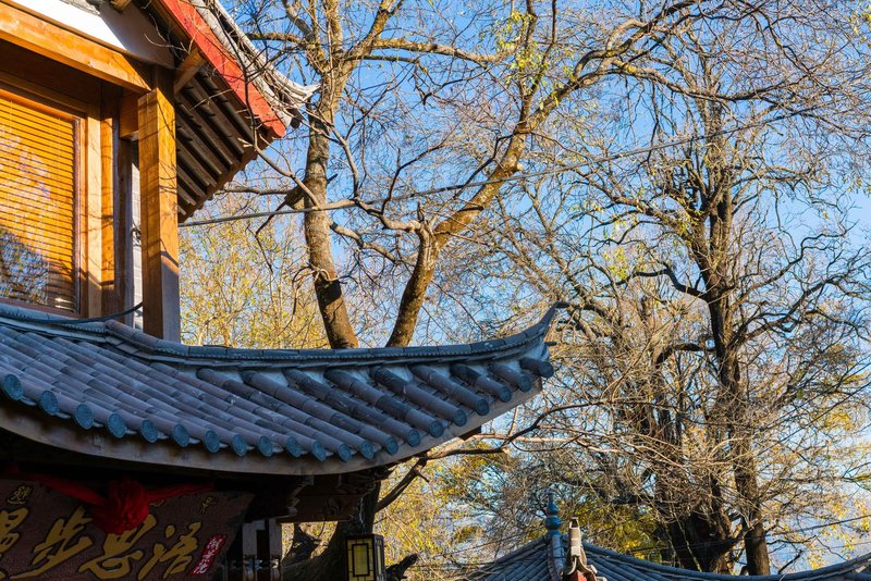 Lijiang Rambling Language boutique inn 酒店外观