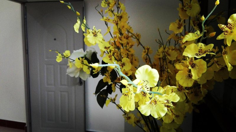 You Hostel Guest Room