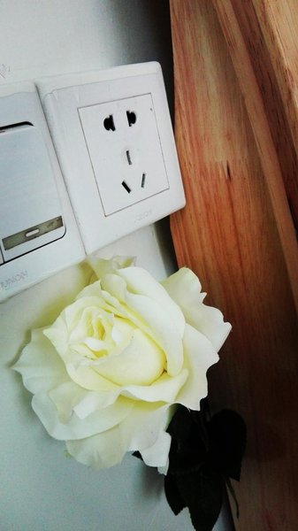 You Hostel Guest Room