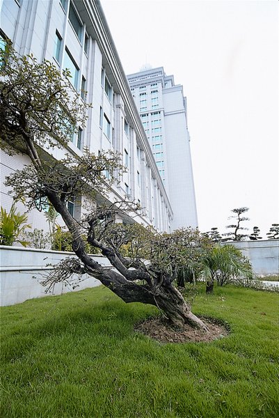 Borrman Hotel(Wuyi University Yihua Department Store) Over view