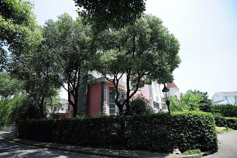 Zhaiyitian Home Party Villa (Shanghai Yiyuan) Over view