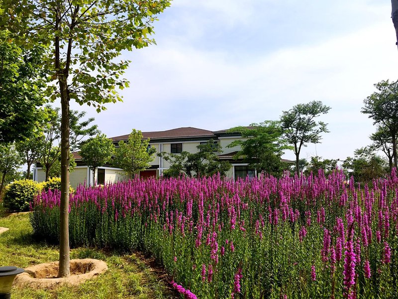 Jinshadao Hot Spring Holiday Hotel Over view