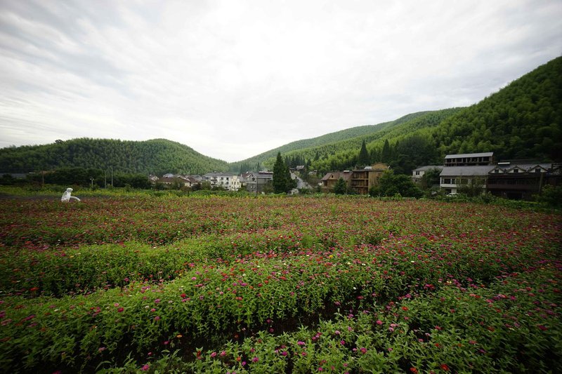 Mogan garden hotelOver view