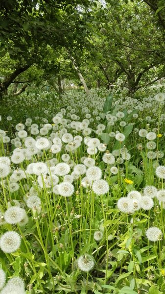 nongfushanzhuangHotel public area